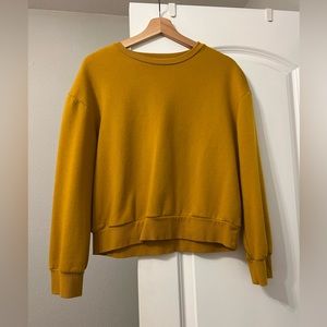 Gold Zara sweatshirt